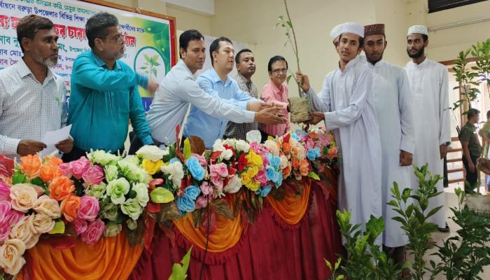 বরুড়ায় কৃতি শিক্ষার্থীদের ফলজ গাছের চারা বিতরণ