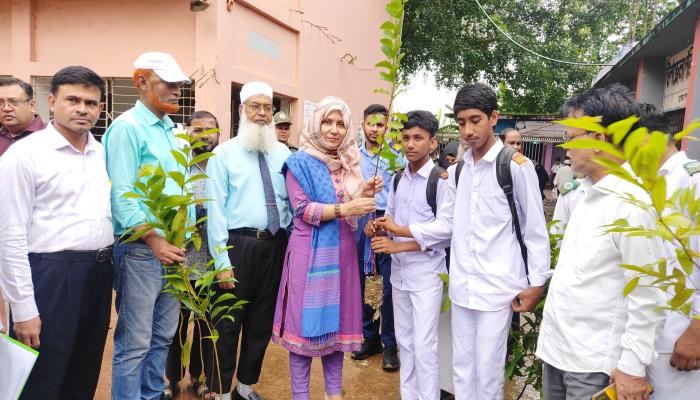 ভবিষ্যৎ প্রজন্মের জন্য সবুজ পৃথিবী গড়তে ব্রাহ্মণপাড়ায় পাঁচ হাজার চারা বিতরণ