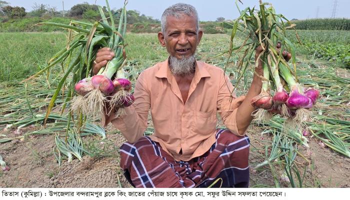 “প্রদর্শনী প্লটে ফলনের চমক”    তিতাসে কিং জাতের পেঁয়াজ চাষে