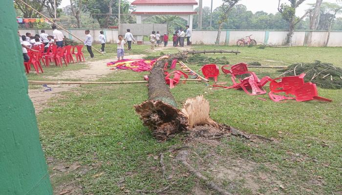বুড়িচংয়ে এসএসসি পরীক্ষার্থীদের বিদায় অনুষ্ঠানে গাছ উপড়ে ৩ শিক্ষার্থী আহত