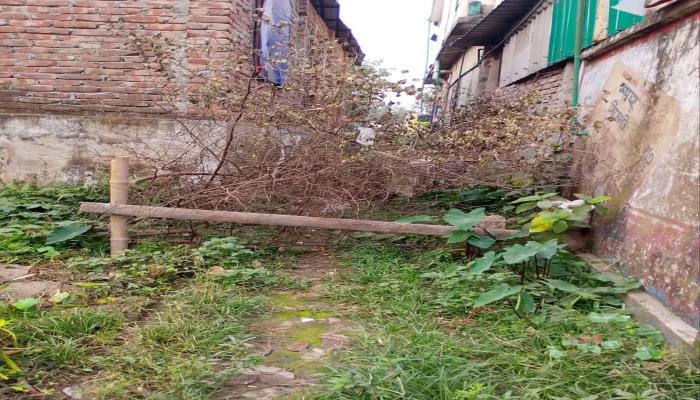 বুড়িচংয়ে বাড়ি প্রবেশের রাস্তা বেড়া দিয়ে বন্ধ, মামলা