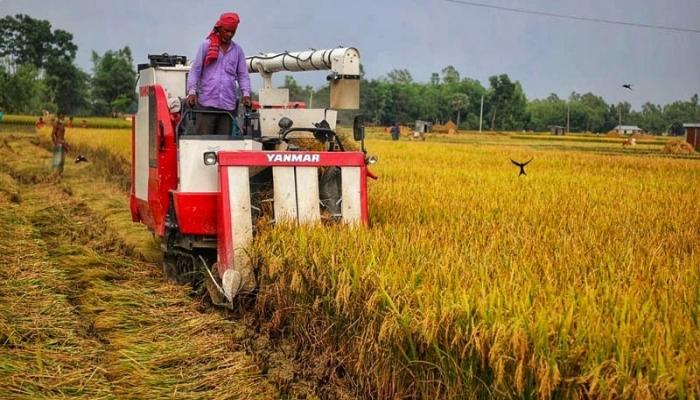 শ্রমিক সংকটে ব্রাহ্মণপাড়ায় ভরসা কম্বাইন হারভেস্টার, কমছে সময় ও খরচ