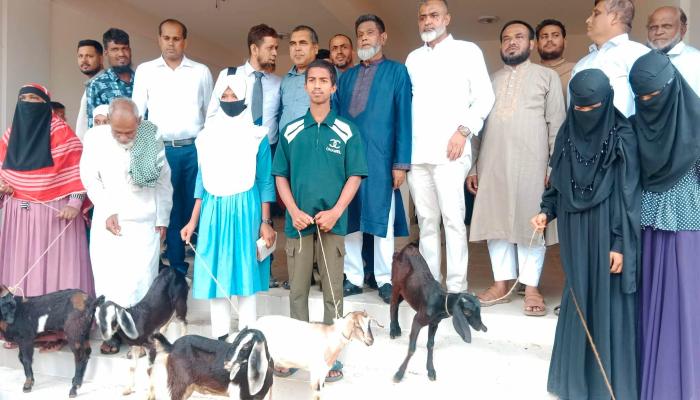 ব্রাহ্মণপাড়ায় অসহায় ও মেধাবী  শিক্ষার্থীদের মাঝে ছাগল বিতরণ