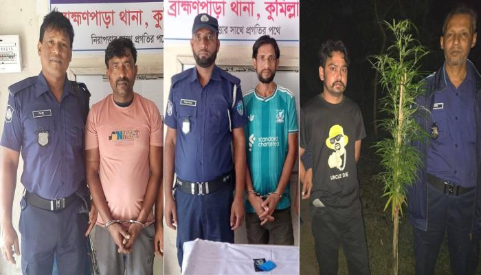ব্রাহ্মণপাড়ায় পুলিশের অভিযানে গ্রেপ্তার, ইয়াবা ও গাঁজার গাছ উদ্ধার