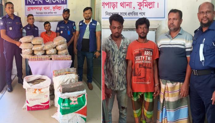রান্নাঘর থেকে ৩০ কেজি গাঁজা ও বিপুল পরিমাণ বাজি উদ্ধার