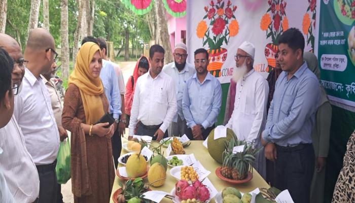ব্রাহ্মণপাড়ায় দিনব্যাপী জাতীয় ফল মেলা অনুষ্ঠিত