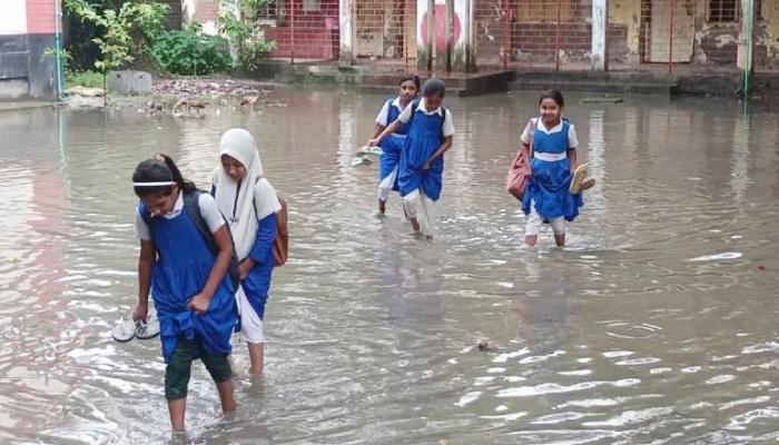 চৌদ্দগ্রামে সামান্য বৃষ্টিতেই তলিয়ে যায় পদুয়া খামার পুষ্কুরনী সরকারি    প্রাথমিক বিদ্যালয়ের মাঠ