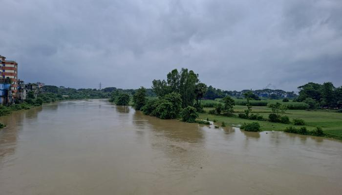 বাড়ছে গোমতীর পানি, ফসল হারানোর শঙ্কায় ব্রাহ্মণপাড়ার চরাঞ্চলের কৃষকরা