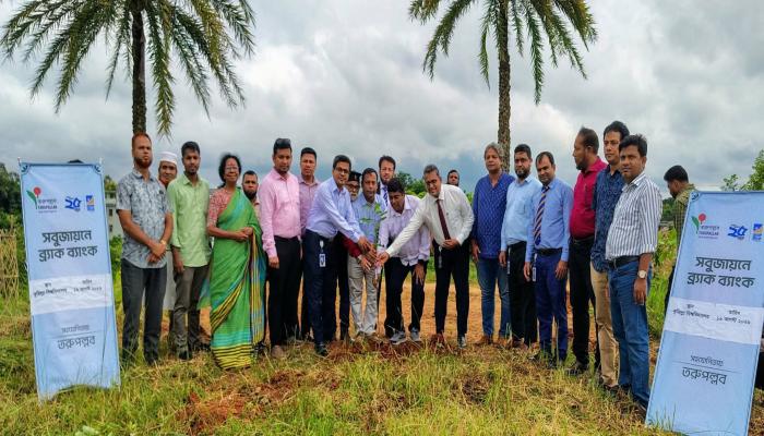 কুবিতে ৩৫০০ দুর্লভ প্রজাতির গাছের চারা রোপণ শুরু