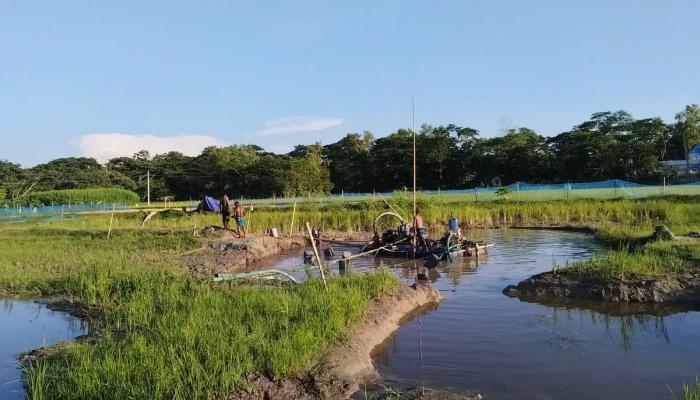 কুমিল্লায় কৃষিজমির মাটি কাটার অভিযোগ, ব্যবস্থা চেয়ে কৃষিমন্ত্রীর কাছে কৃষকদের আবেদন