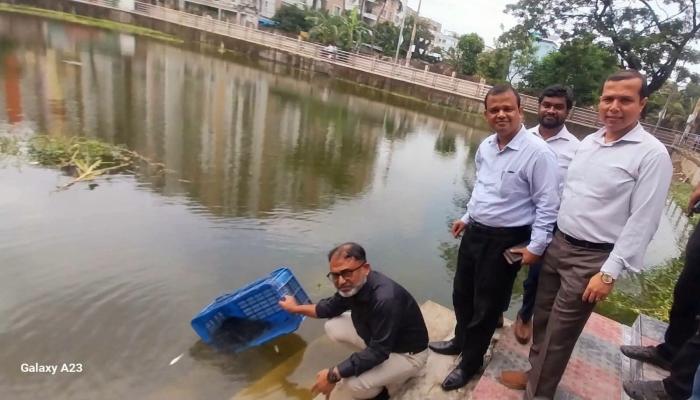 কুমিল্লা আদালত অঙ্গনের নান্দনিক পুকুরে বিভিন্ন প্রজাতির মাছের পোনা অবমুক্ত