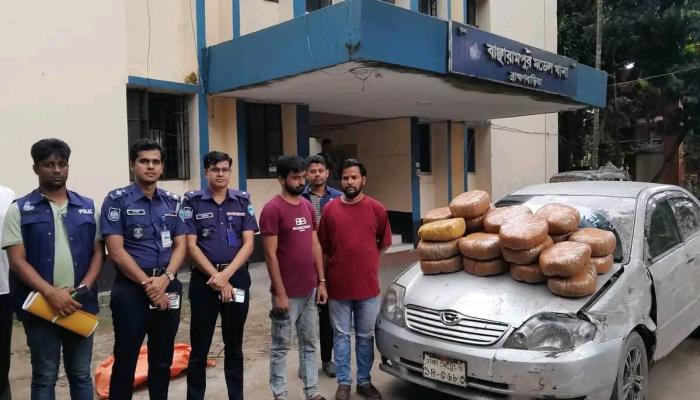বাঞ্ছারামপুরে ৫০ কেজি গাঁজাসহ দুই শামীম  গ্রেপ্তার