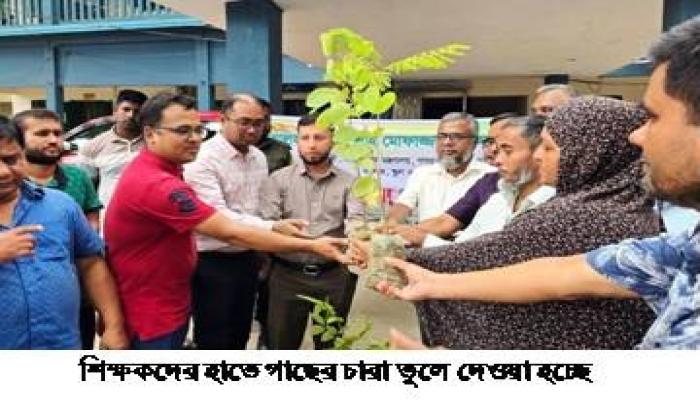 মুরাদনগরে ধর্মমন্ত্রীর উদ্যোগে শিক্ষার্থীদের    মাঝে গাছের চারা বিতরণ